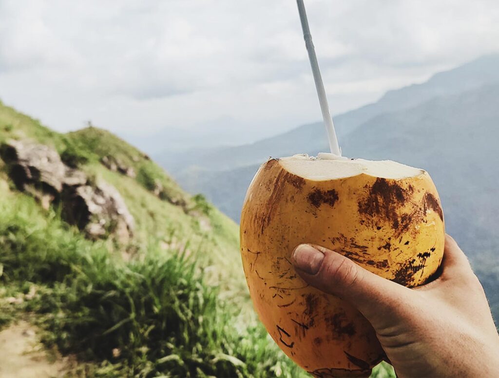 asien_karusell_3300_2500_b11