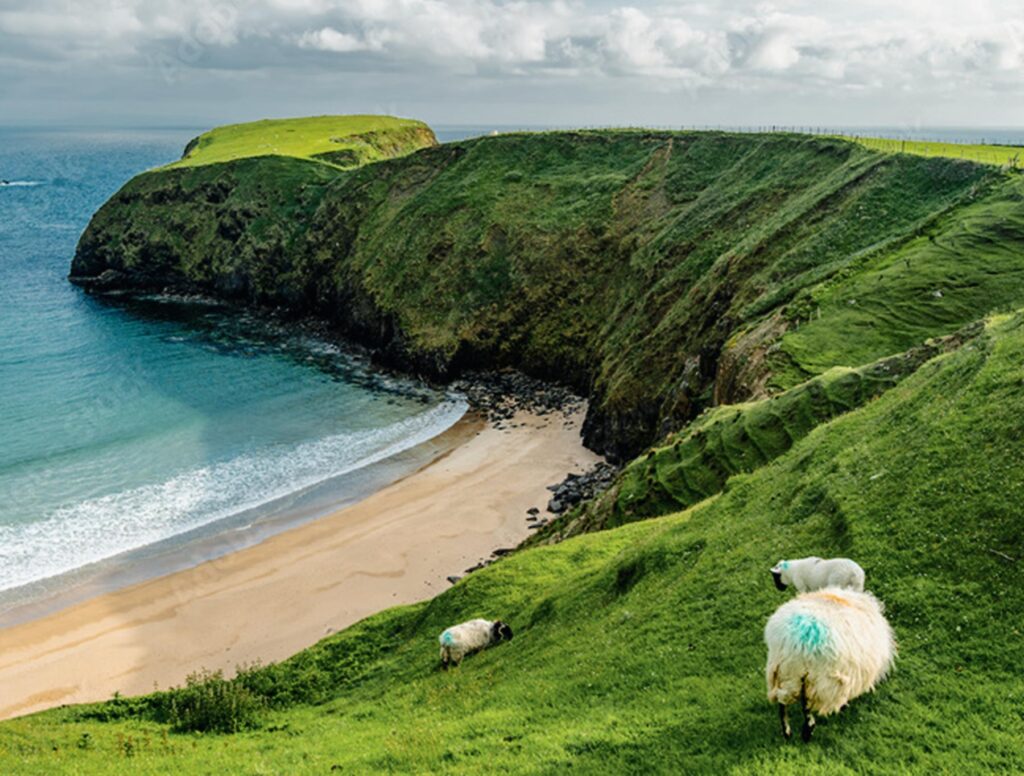 europa_karusell_3300_2500_b5