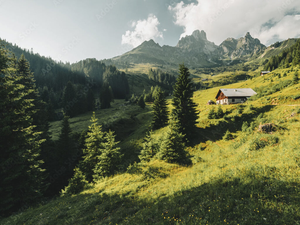 oesterreich_karusell_b14