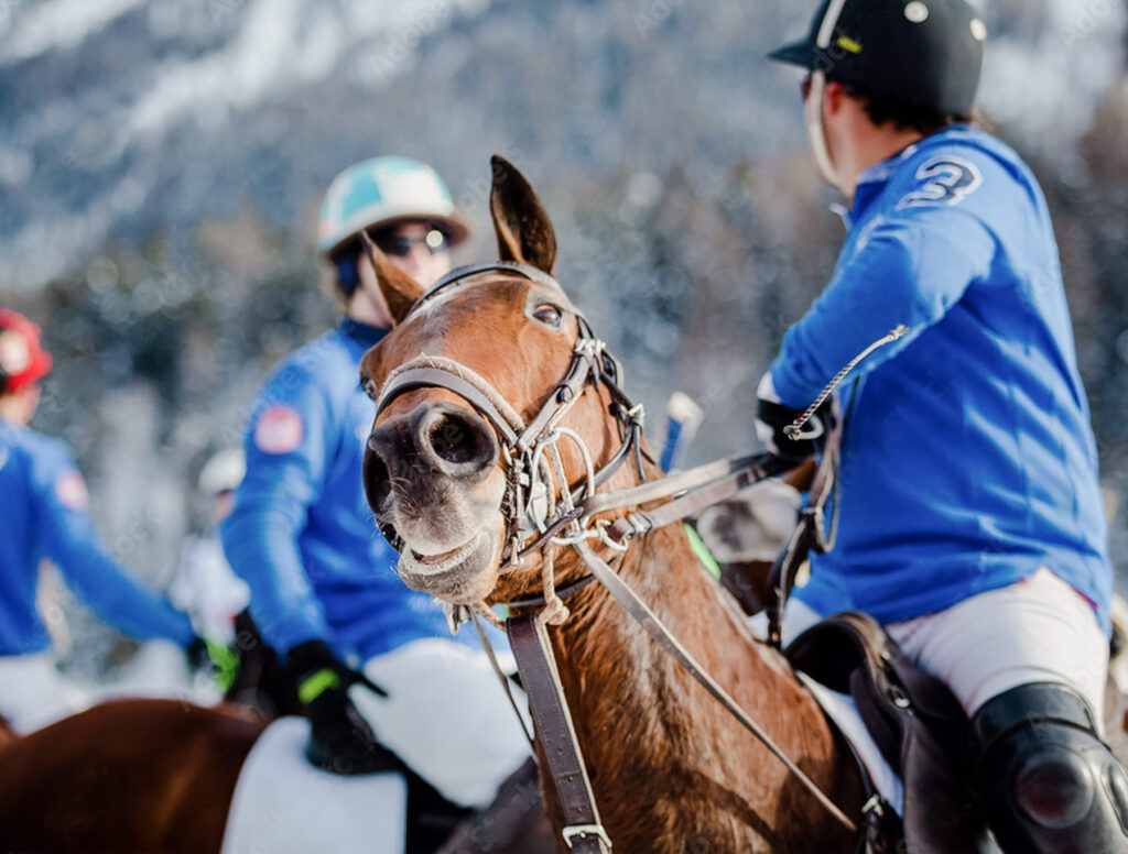 schweiz_karusell_3300_2500_b14