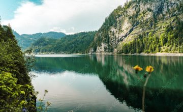 unesco_oesi_2000_1200